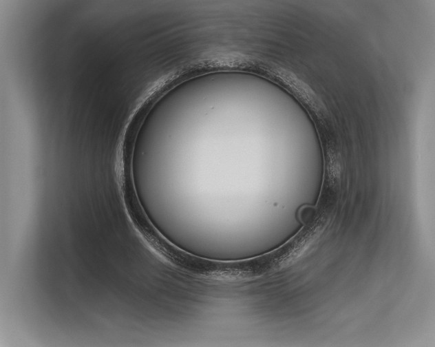 X0000113350630200909221144