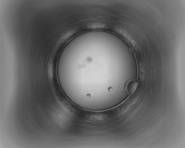X0000113350631200909221144