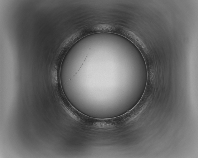 X0000113350633200909221144