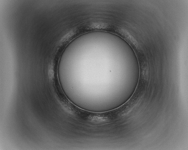 X0000113350635200909221144