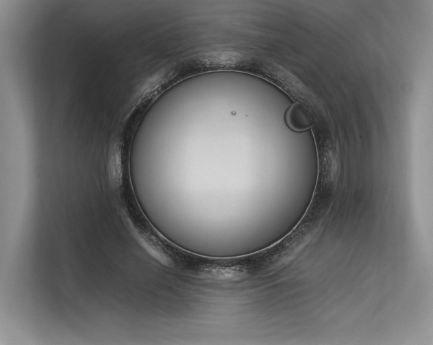 X0000113350638200909221144