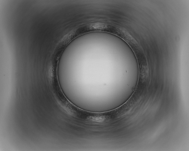 X0000113350639200909221144