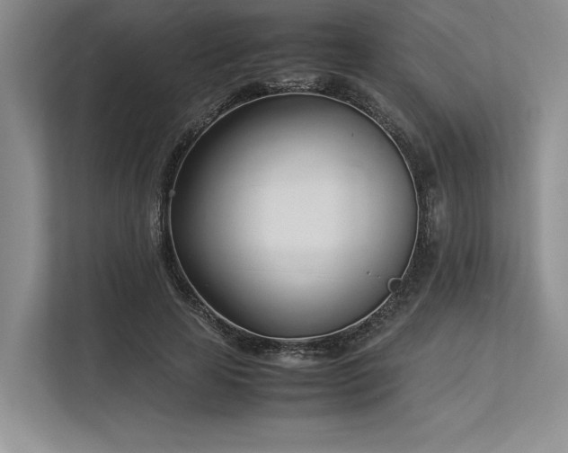 X0000113350641200909221145
