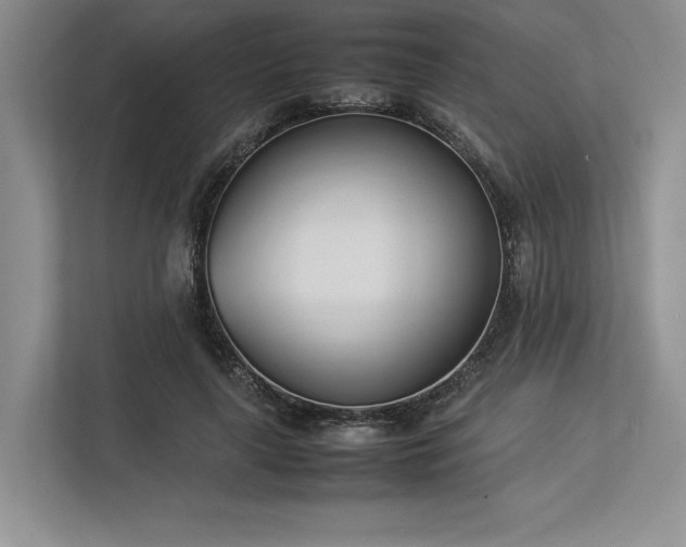 X0000113350643200909221145