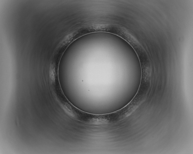 X0000113350644200909221145