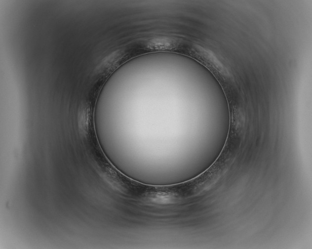 X0000113350645200909221145