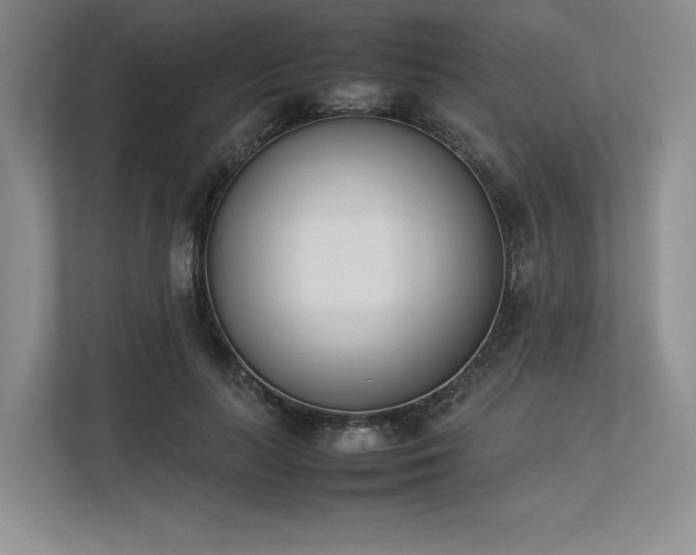 X0000113350647200909221145