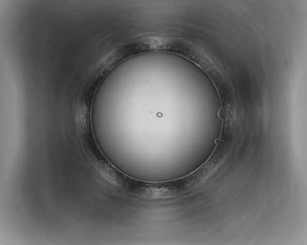 X0000113350650200909221145