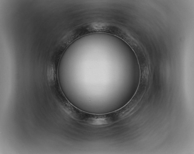 X0000113350651200909221145