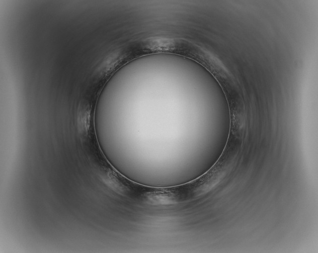 X0000113350652200909221145