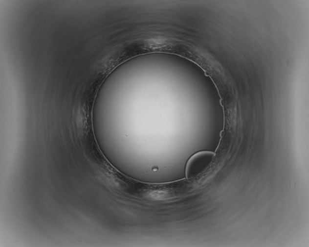 X0000113350653200909221145