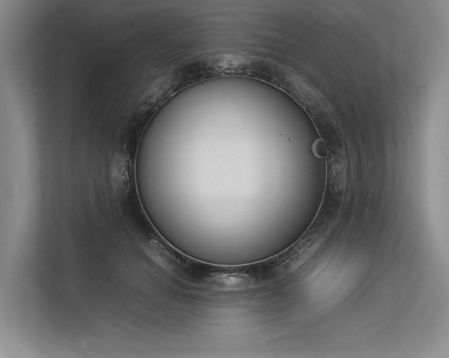 X0000113350654200909221145