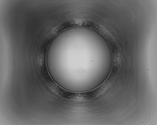 X0000113350656200909221145