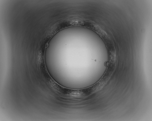 X0000113350659200909221145