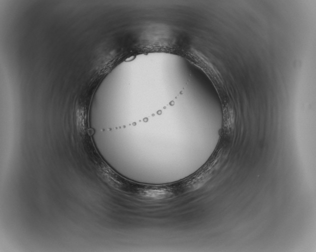 X0000113350669200909221145