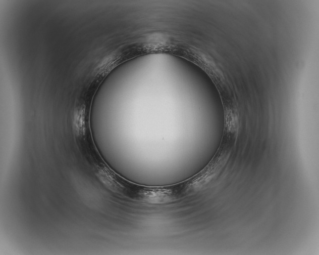 X0000113350670200909221145