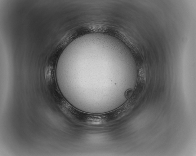 X0000113350671200909221145