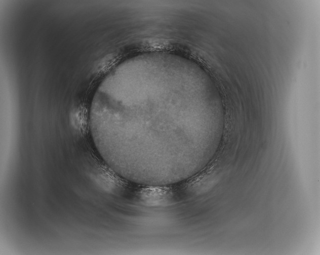 X0000113350672200909221145
