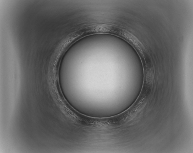 X0000113350673200909221144