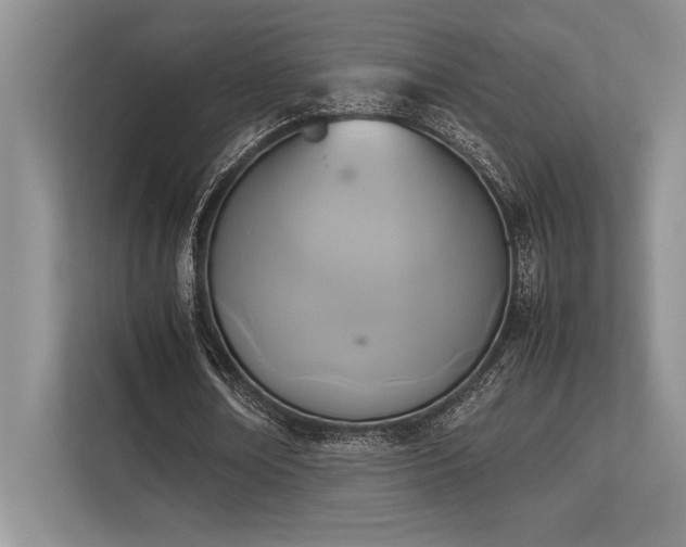 X0000113350674200909221144