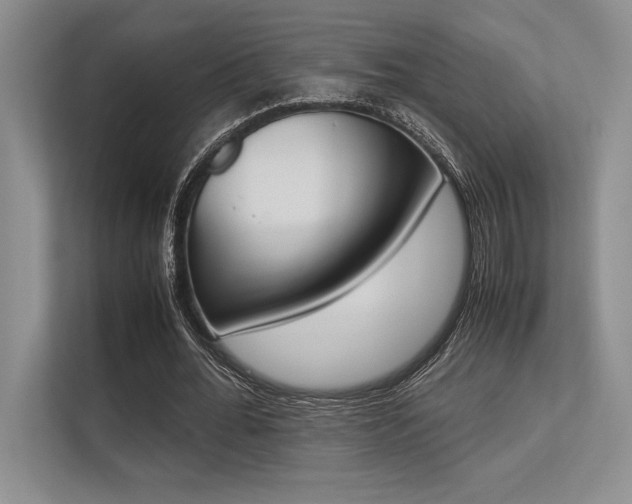 X0000113350676200909221144