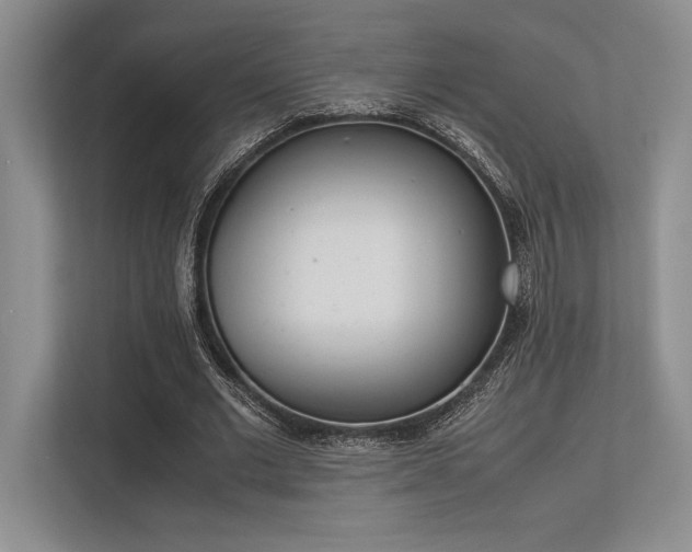 X0000113350677200909221144