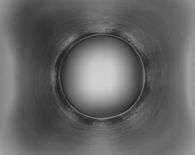 X0000113350679200909221144