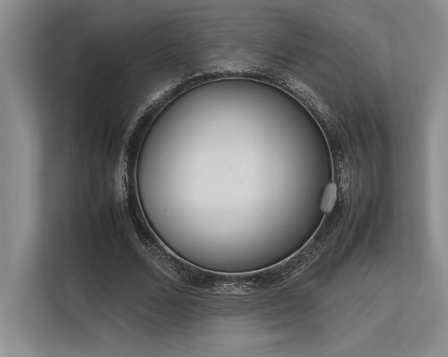 X0000113350680200909221144
