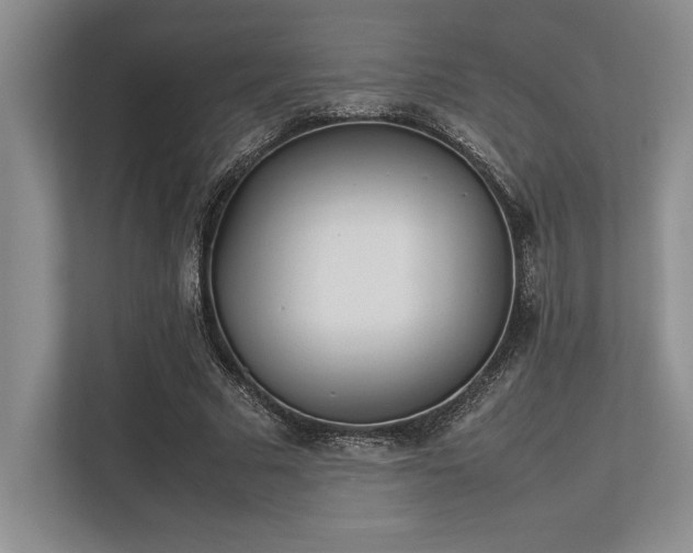 X0000113350681200909221144