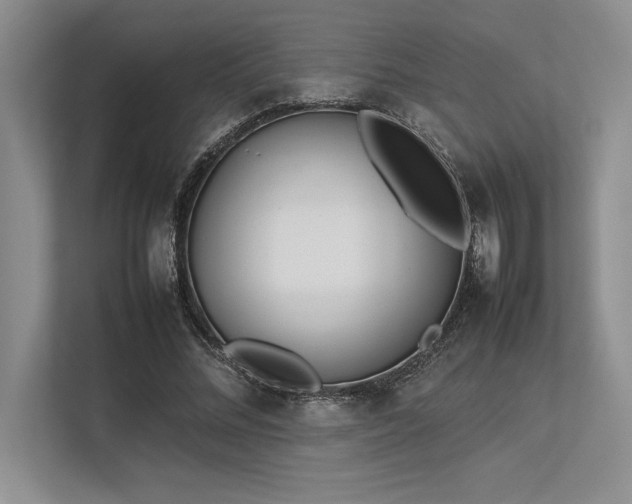 X0000113350684200909221144