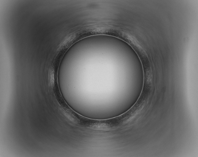 X0000113350685200909221144