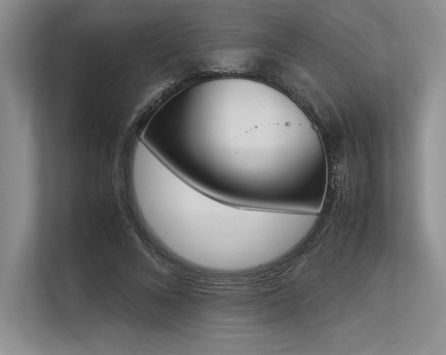 X0000113350688200909221144