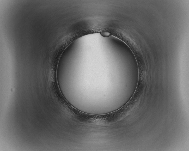 X0000113350689200909221144