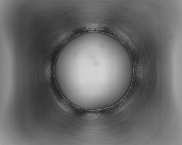 X0000113350690200909221144