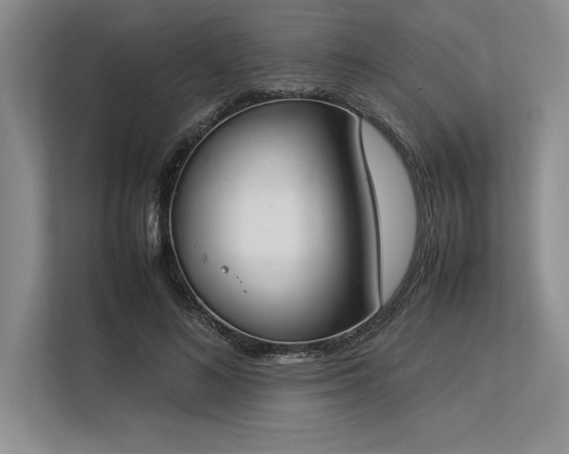 X0000113350692200909221144