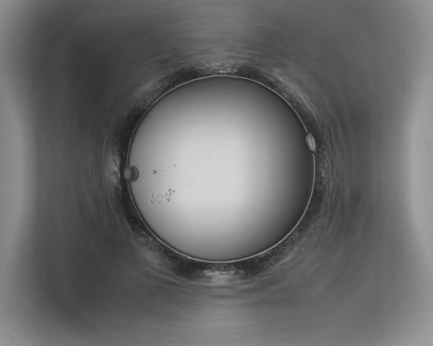 X0000113350693200909221144