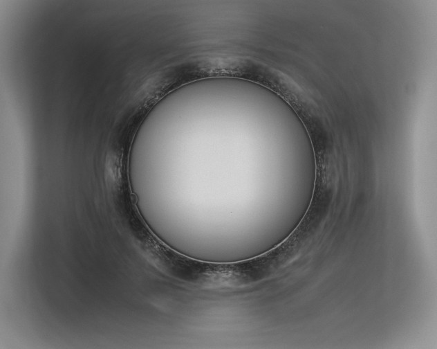 X0000113350695200909221144