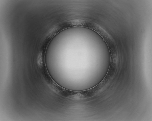 X0000113350696200909221144