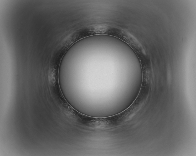 X0000113350697200909221144