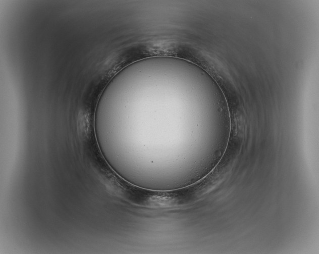 X0000113350699200909221144