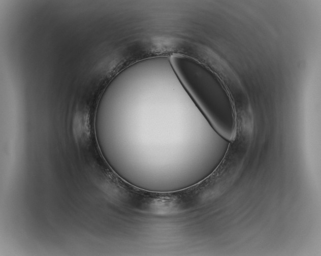 X0000113350700200909221144