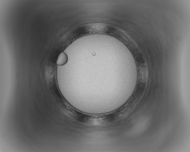 X0000113350701200909221144