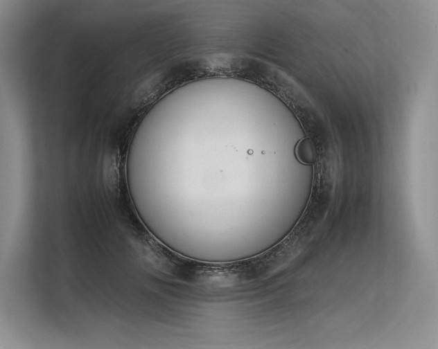 X0000113350702200909221144