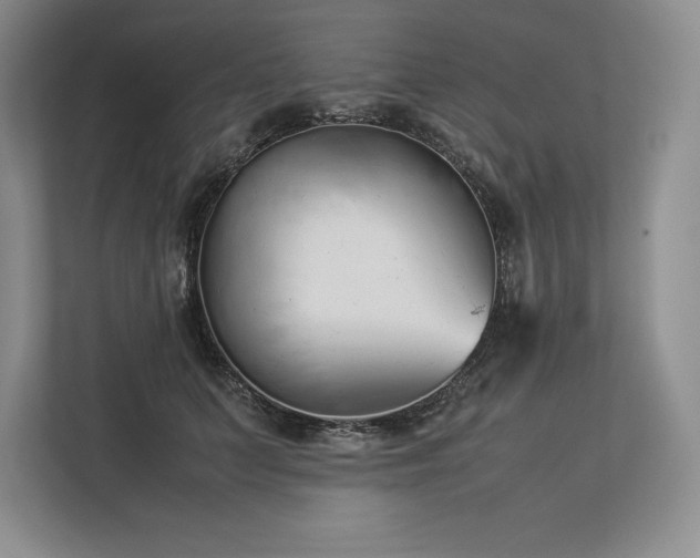 X0000113350703200909221144