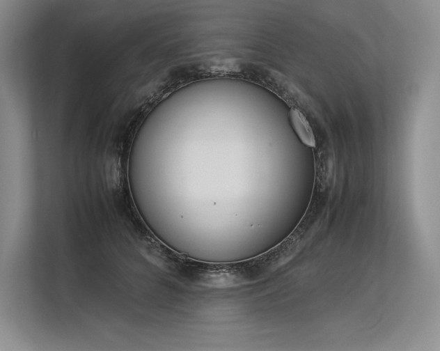 X0000113350704200909221144