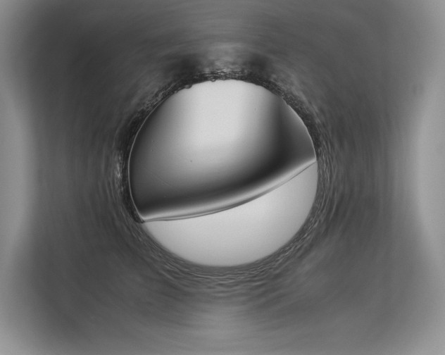 X0000113350709200909221144