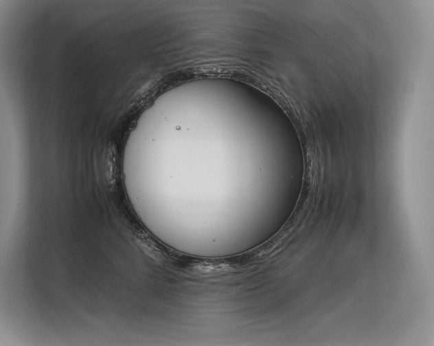 X0000113350712200909221144