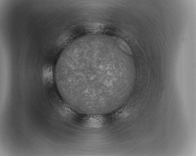 X0000113350720200909221144