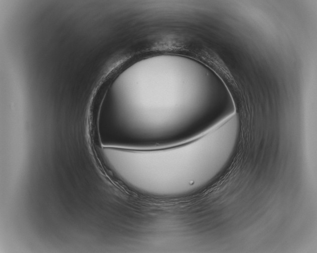 X0000113350724200909221143