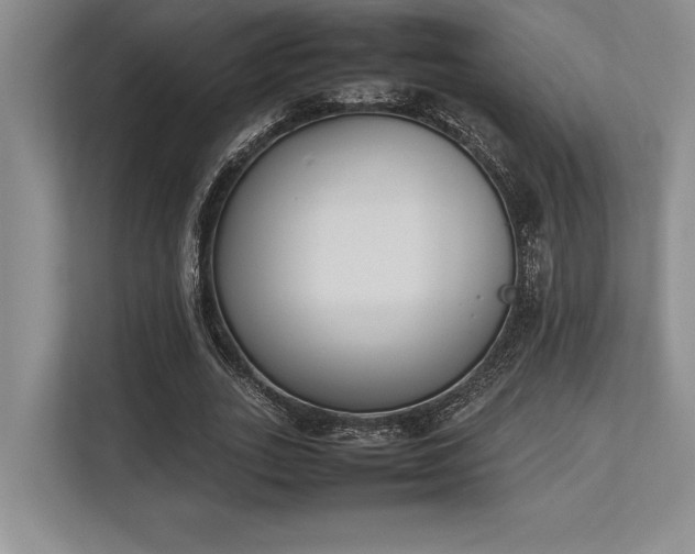 X0000113350727200909221143